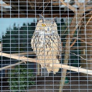 Meet your Posher, Bob